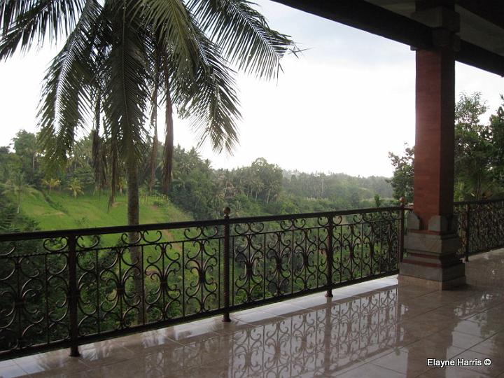 EHA91271.JPG - Un hotel de luxe près d'Ubud