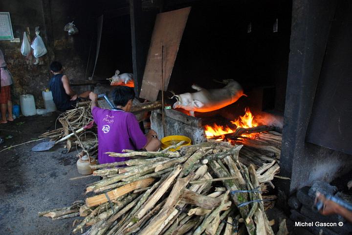 MGA93764.jpg - Voilà ou le bois va, des rotisseries de porcs. Miam!